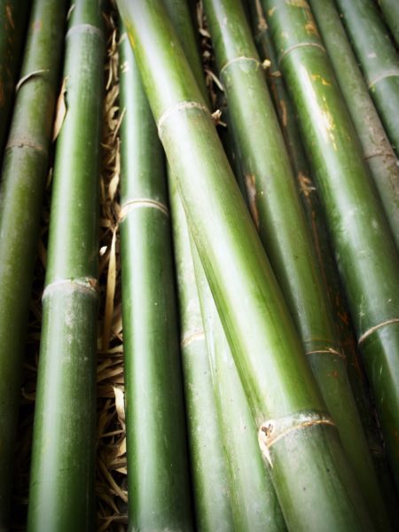 Cherche perches de Bambous & Toile PVC pour construire une Flex Yourte !